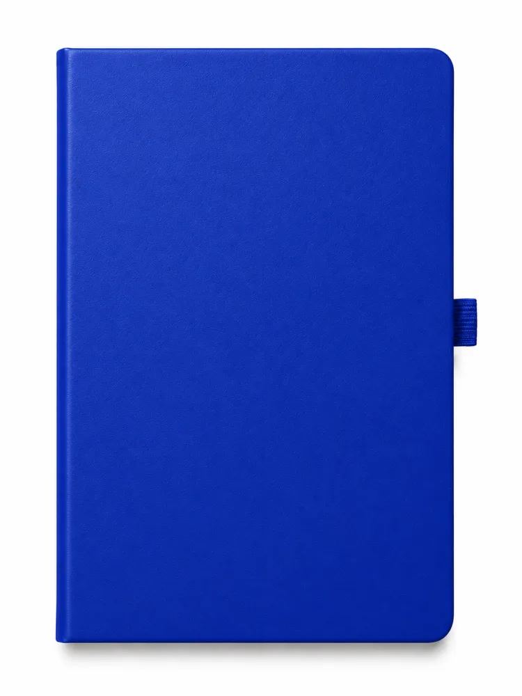 Diary Blue